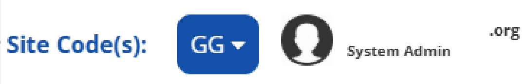 Site Code(s) selector in top right corner